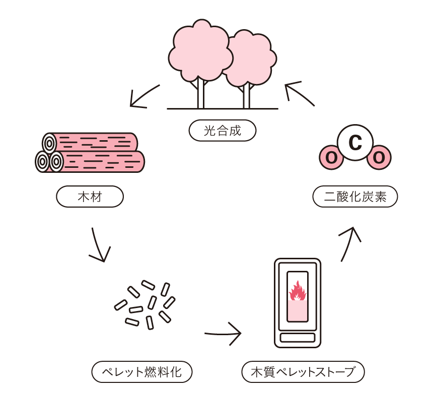 バイオマス フロー図